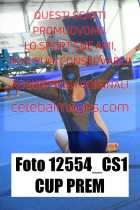 12554_CS1-CUP-PREM