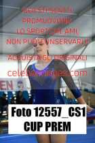 12557_CS1-CUP-PREM