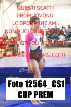 12564_CS1-CUP-PREM