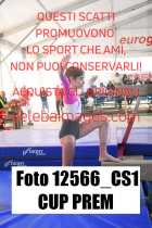 12566_CS1-CUP-PREM
