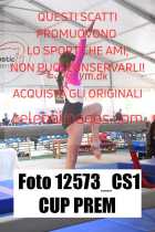 12573_CS1-CUP-PREM