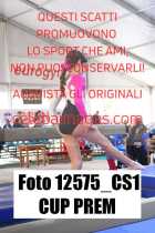 12575_CS1-CUP-PREM