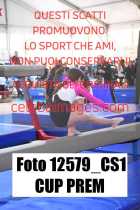 12579_CS1-CUP-PREM