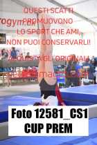 12581_CS1-CUP-PREM