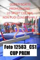12583_CS1-CUP-PREM