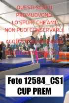 12584_CS1-CUP-PREM