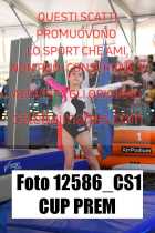 12586_CS1-CUP-PREM