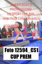 12594_CS1-CUP-PREM