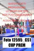 12595_CS1-CUP-PREM