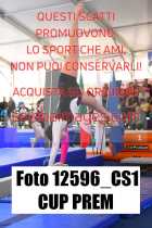 12596_CS1-CUP-PREM