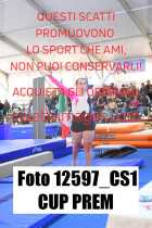 12597_CS1-CUP-PREM