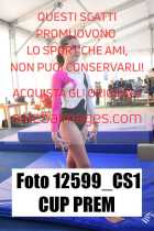 12599_CS1-CUP-PREM