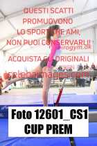 12601_CS1-CUP-PREM