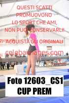 12603_CS1-CUP-PREM
