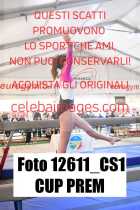 12611_CS1-CUP-PREM