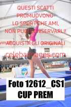 12612_CS1-CUP-PREM