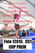 12615_CS1-CUP-PREM