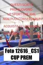 12616_CS1-CUP-PREM
