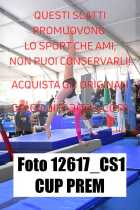 12617_CS1-CUP-PREM