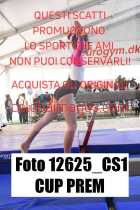 12625_CS1-CUP-PREM
