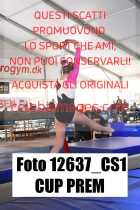 12637_CS1-CUP-PREM