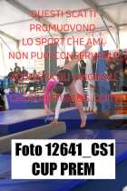 12641_CS1-CUP-PREM