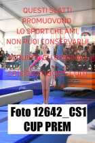12642_CS1-CUP-PREM