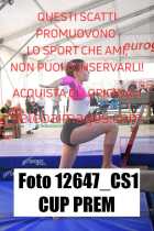 12647_CS1-CUP-PREM