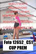 12652_CS1-CUP-PREM