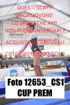 12653_CS1-CUP-PREM