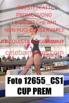 12655_CS1-CUP-PREM