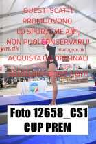 12658_CS1-CUP-PREM