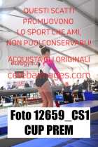 12659_CS1-CUP-PREM