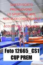 12665_CS1-CUP-PREM