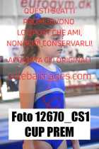 12670_CS1-CUP-PREM