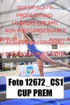 12672_CS1-CUP-PREM