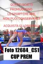 12684_CS1-CUP-PREM