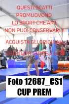 12687_CS1-CUP-PREM