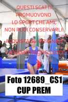 12689_CS1-CUP-PREM