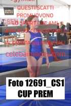 12691_CS1-CUP-PREM