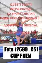 12699_CS1-CUP-PREM
