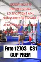 12703_CS1-CUP-PREM