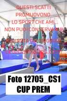 12705_CS1-CUP-PREM