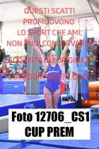 12706_CS1-CUP-PREM