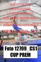 12709_CS1-CUP-PREM