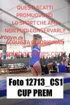 12713_CS1-CUP-PREM