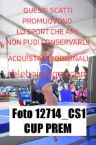 12714_CS1-CUP-PREM