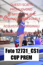 12731_CS1-CUP-PREM