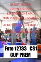 12733_CS1-CUP-PREM