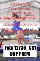 12736_CS1-CUP-PREM